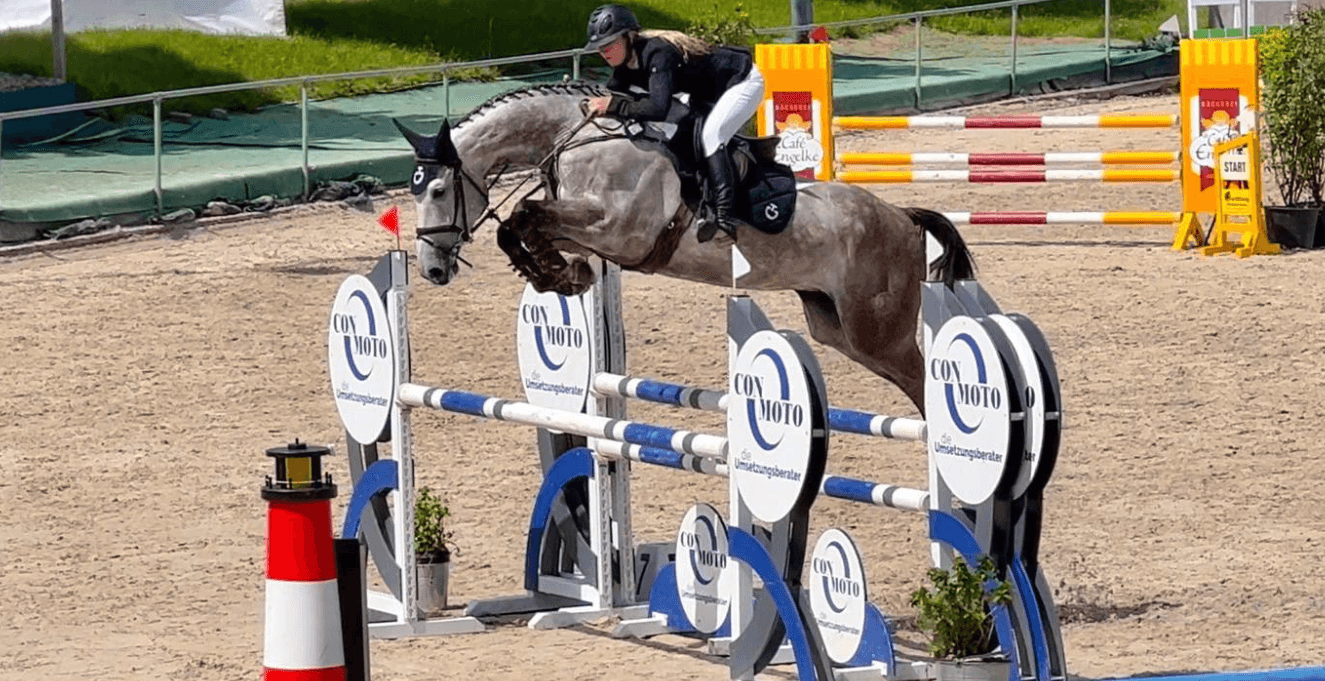 Nacapitola de Reve ZD