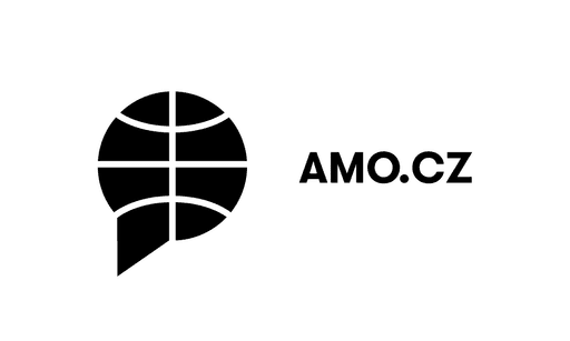 Logo asociace pro mezinárodní otázky