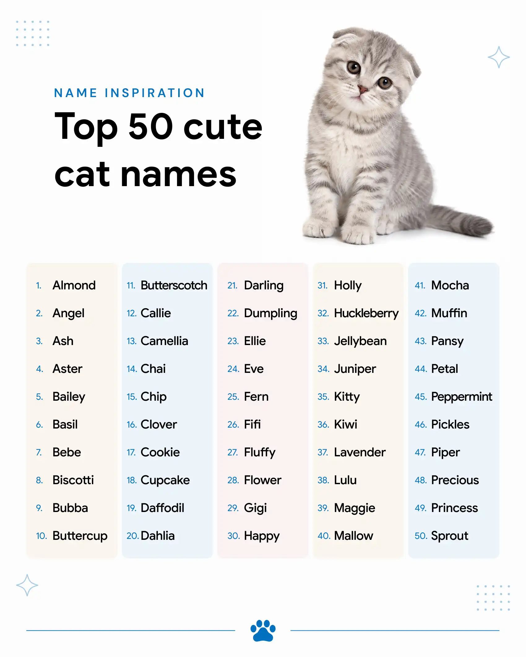 Top 50 cute cat names for your kitty.