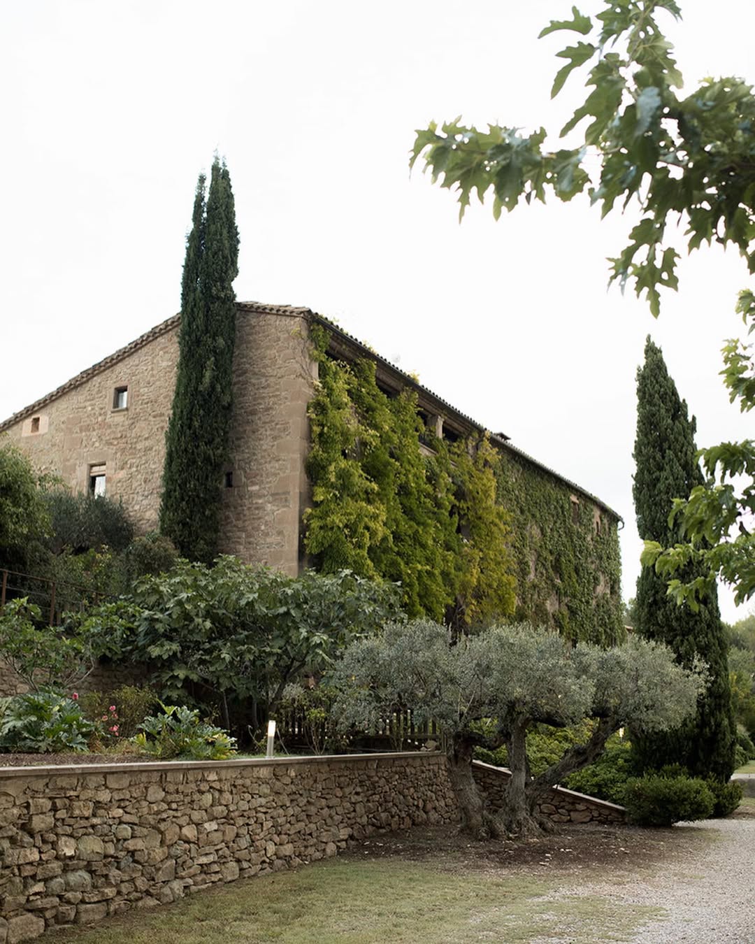 A rustic outdoor market stall displays an array of fresh produce including vibrant tomatoes, leafy greens, and a variety of olives, set against the backdrop of a picturesque rural Italian village.