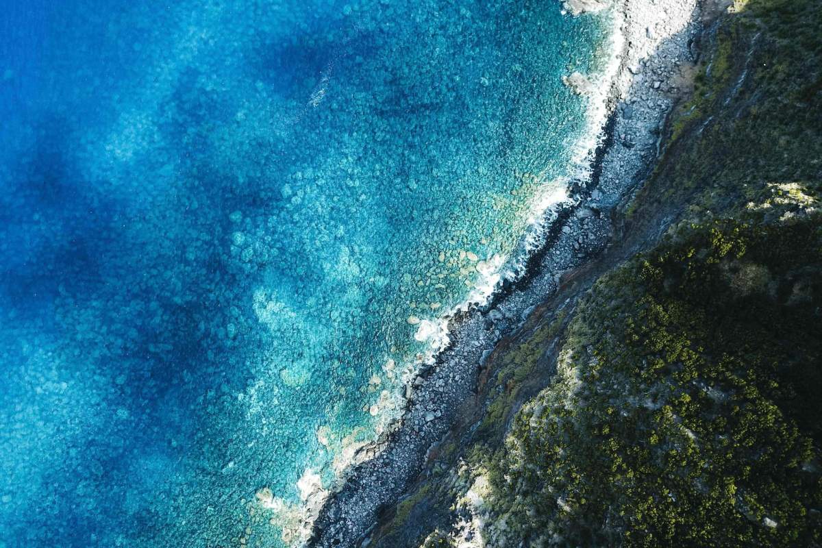 brown and white temple surrounded by green trees during daytime