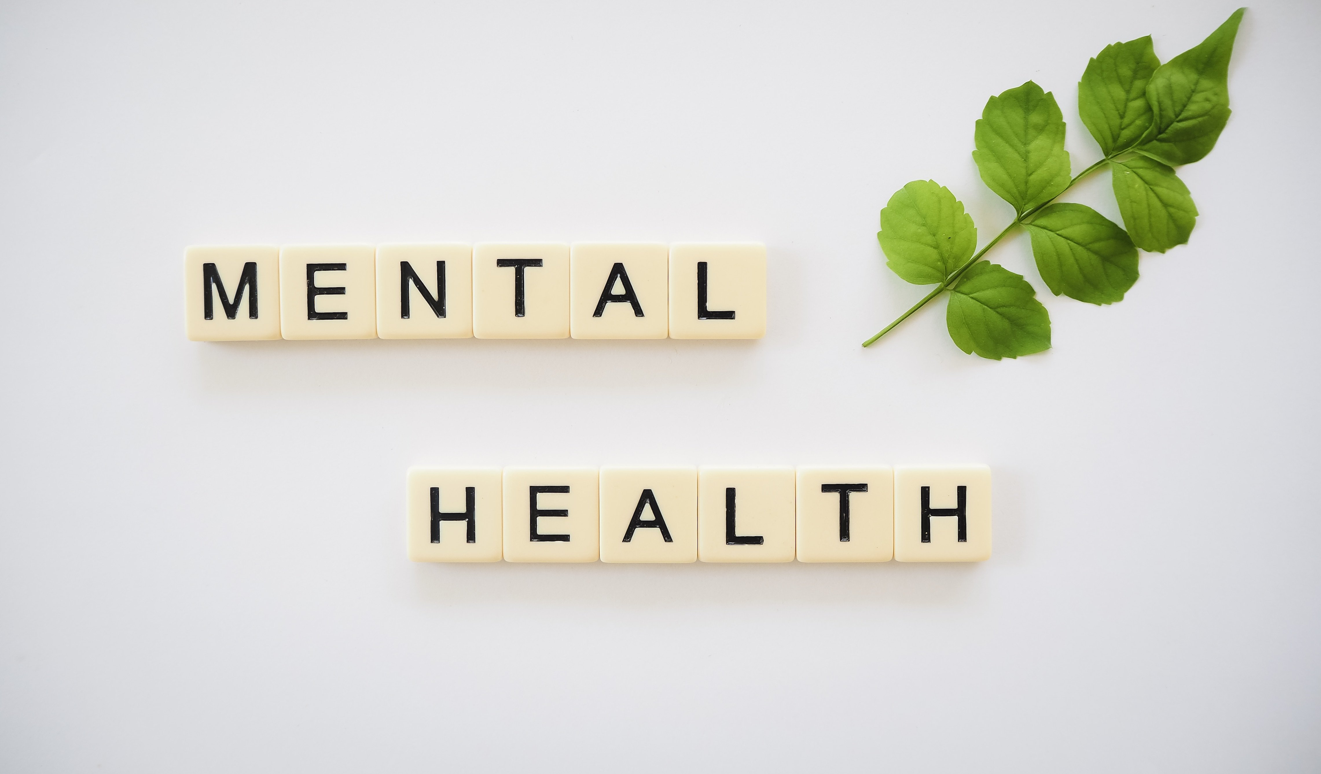 Photo:Gauteng NGOs caring for mental health patients struggle as subsidy payments delayed – South African Daily