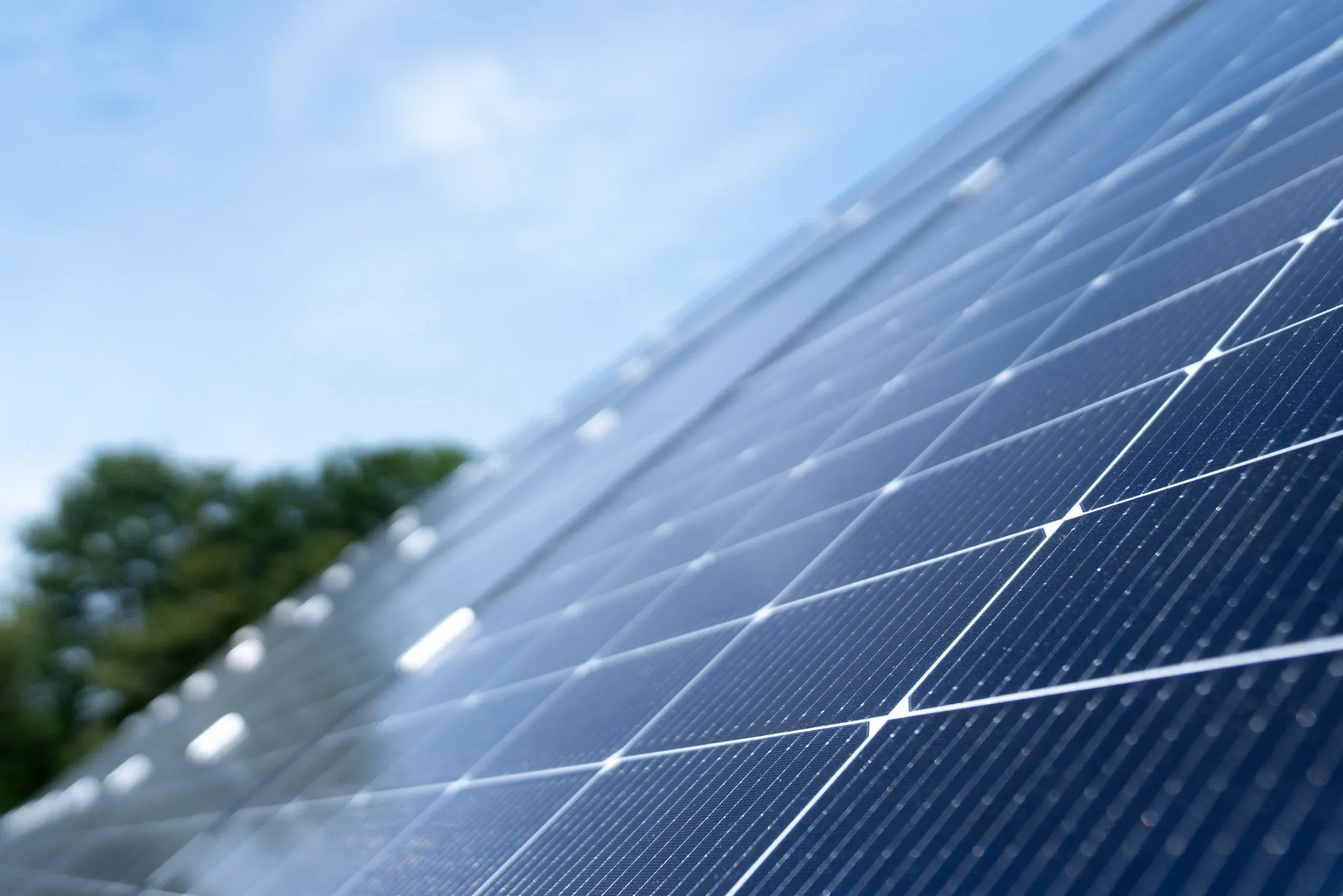 Nahaufnahme von Solarmodulen unter blauem Himmel, grüne Bäume im Hintergrund.
