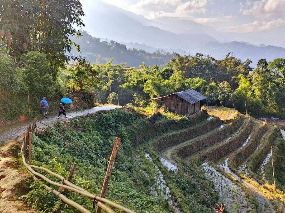 Hikers walking along a village path beside rice terraces in the early morning light near Sapa.