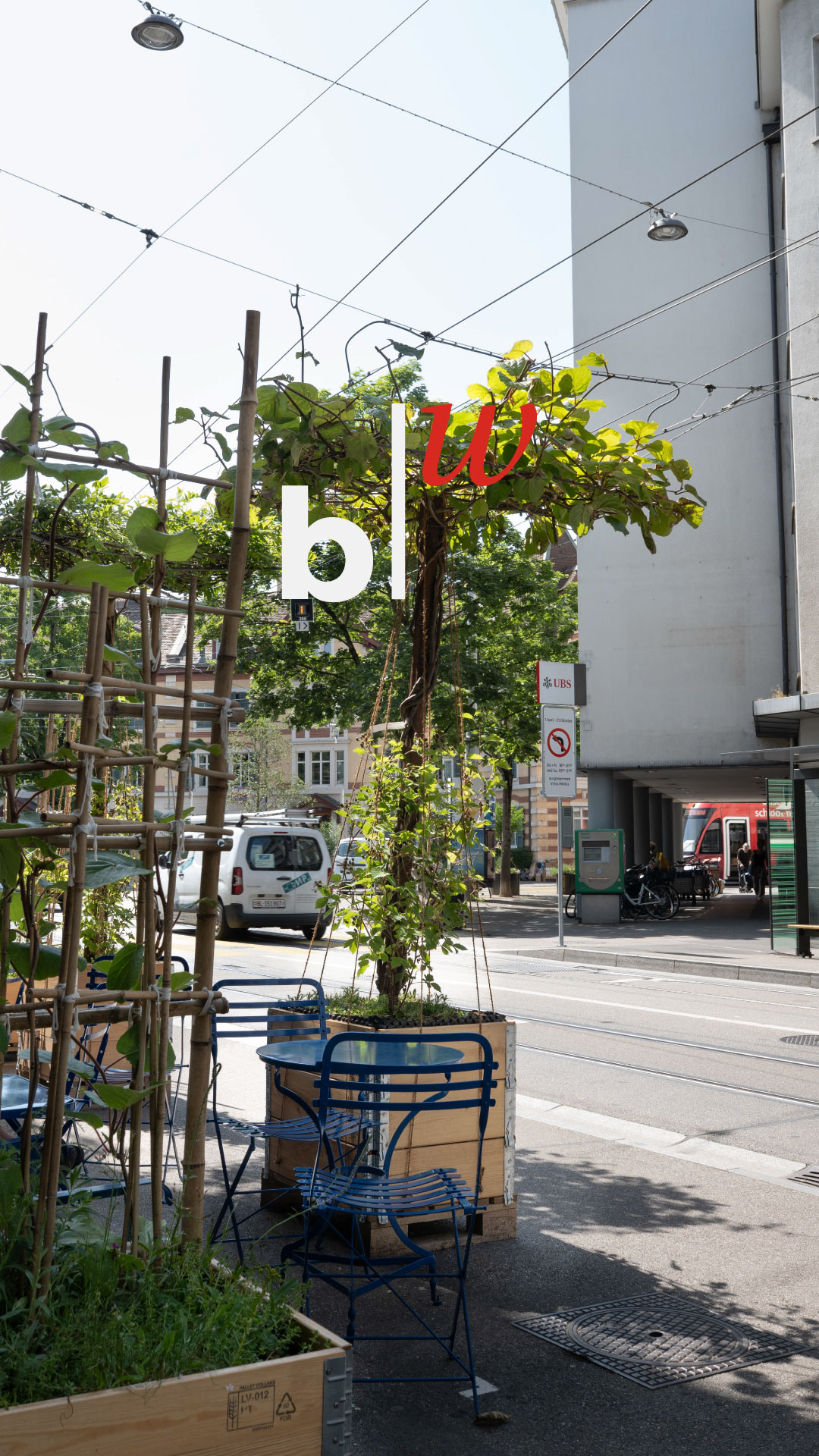 Jagged mountain peaks bathed in golden sunlight