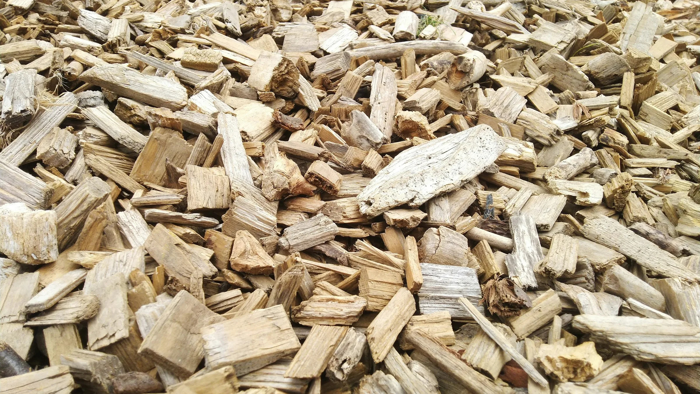 Pile of wood chips, a biomass feedstock for gasification