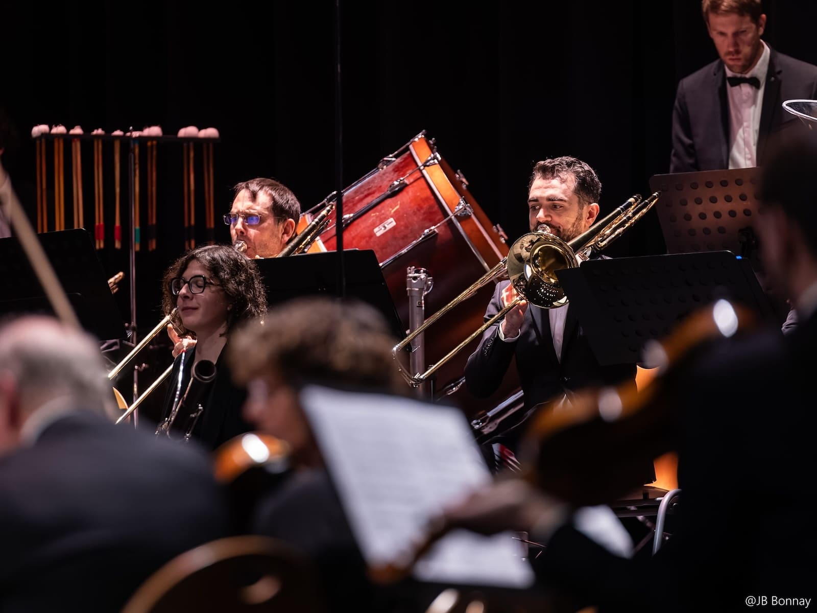 Musicien en concert
