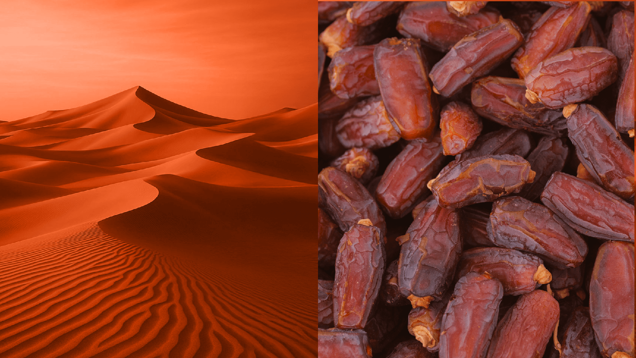 A close up of food
AI-generated content may be incorrect.