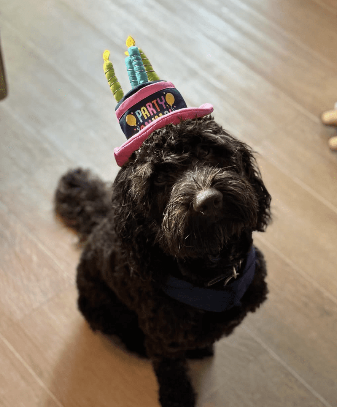 A woman with long blonde hair, in a brown top and jeans, walks through a sunlit forest, holding someone's hand. The scene is warm and inviting.