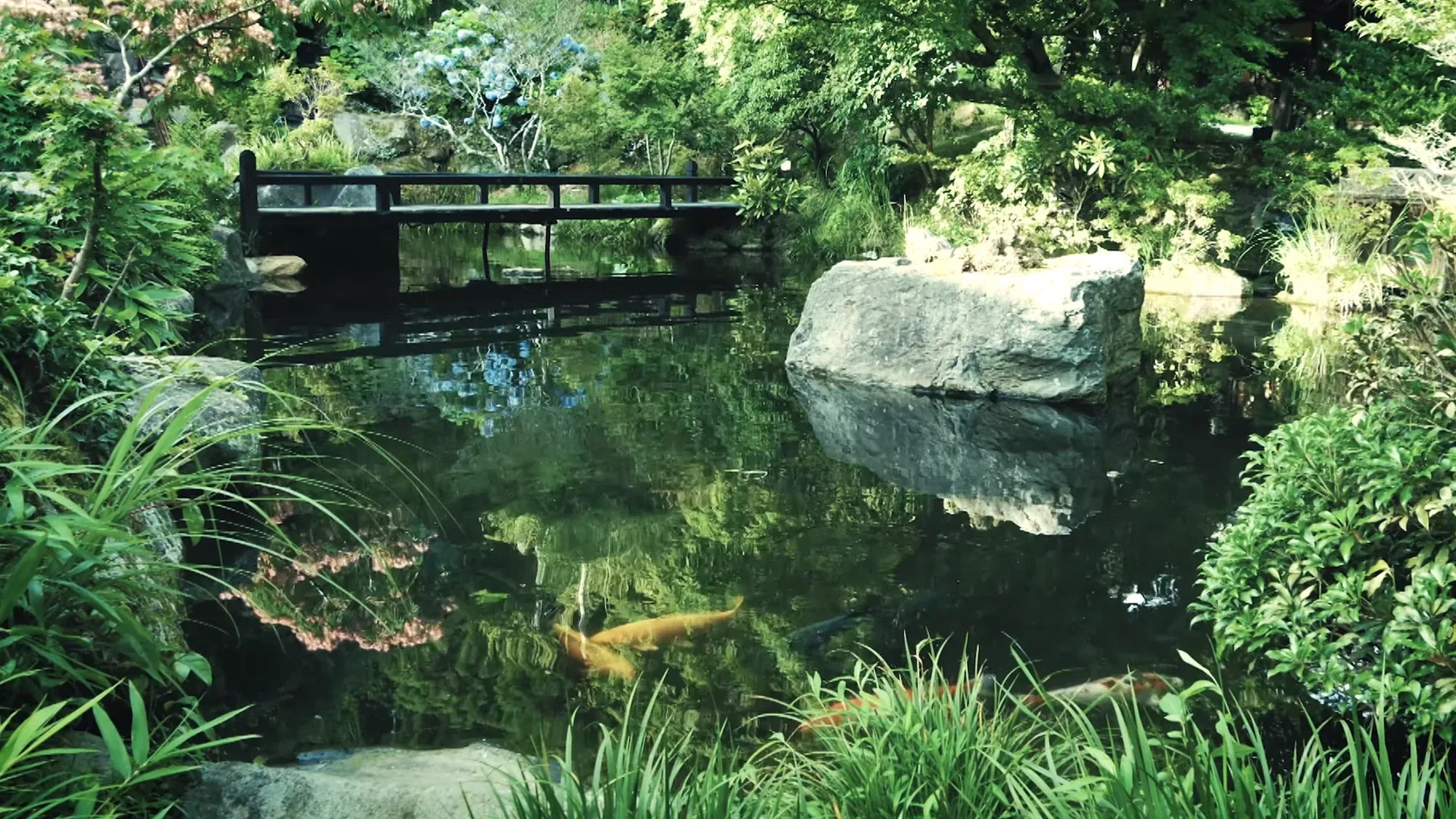 An inn garden at Kurokawa Onsen with a carp pond, a standing stone and dense green planting