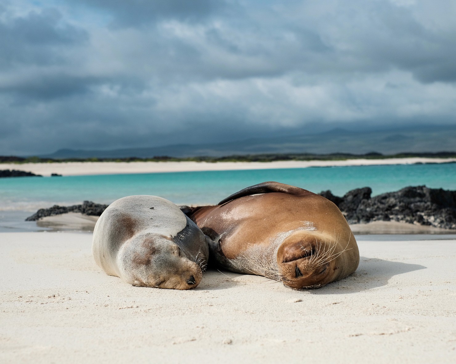 A person in an orange jacket bending near a rocky cliff in a forest.