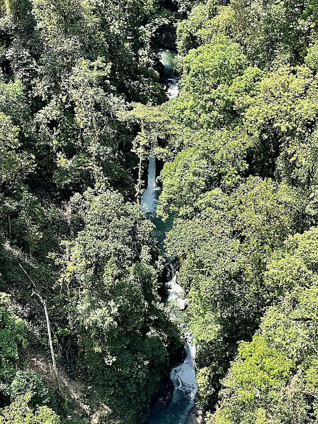 Selva amazónica del Napo — retiro Rewire de ayahuasca