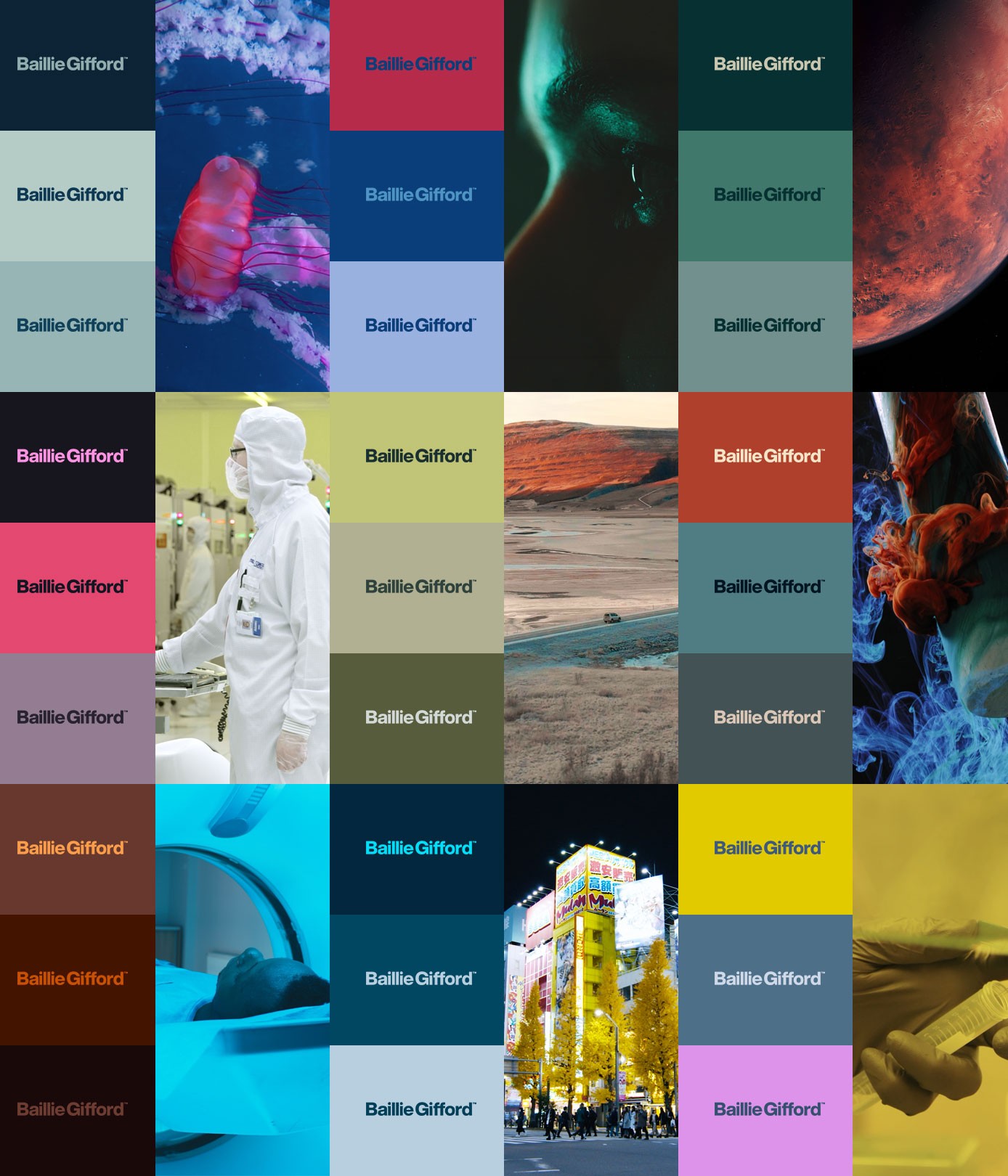 Brand Identity Colour Theory