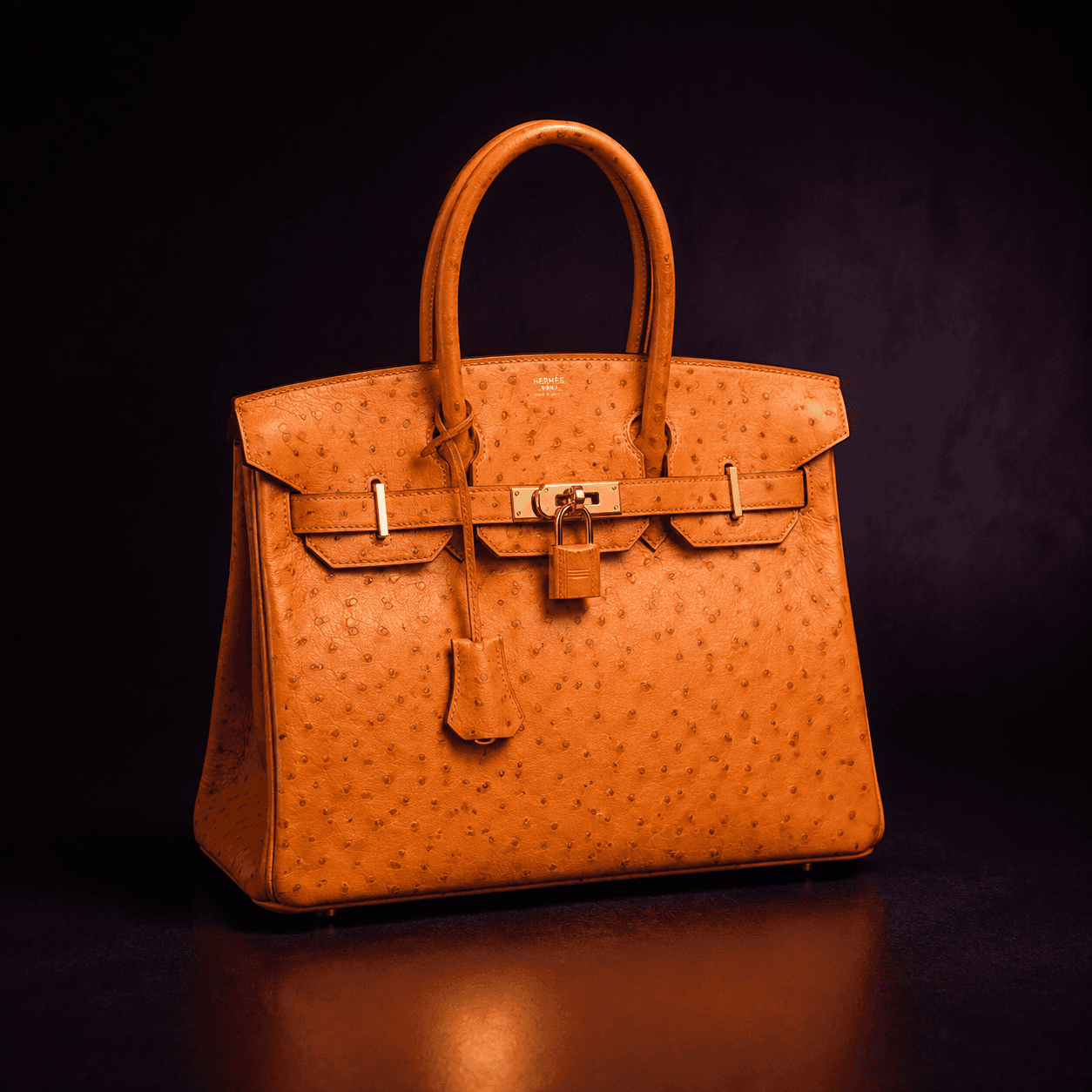 Orange ostrich Hermès Birkin handbag in a premium studio presentation