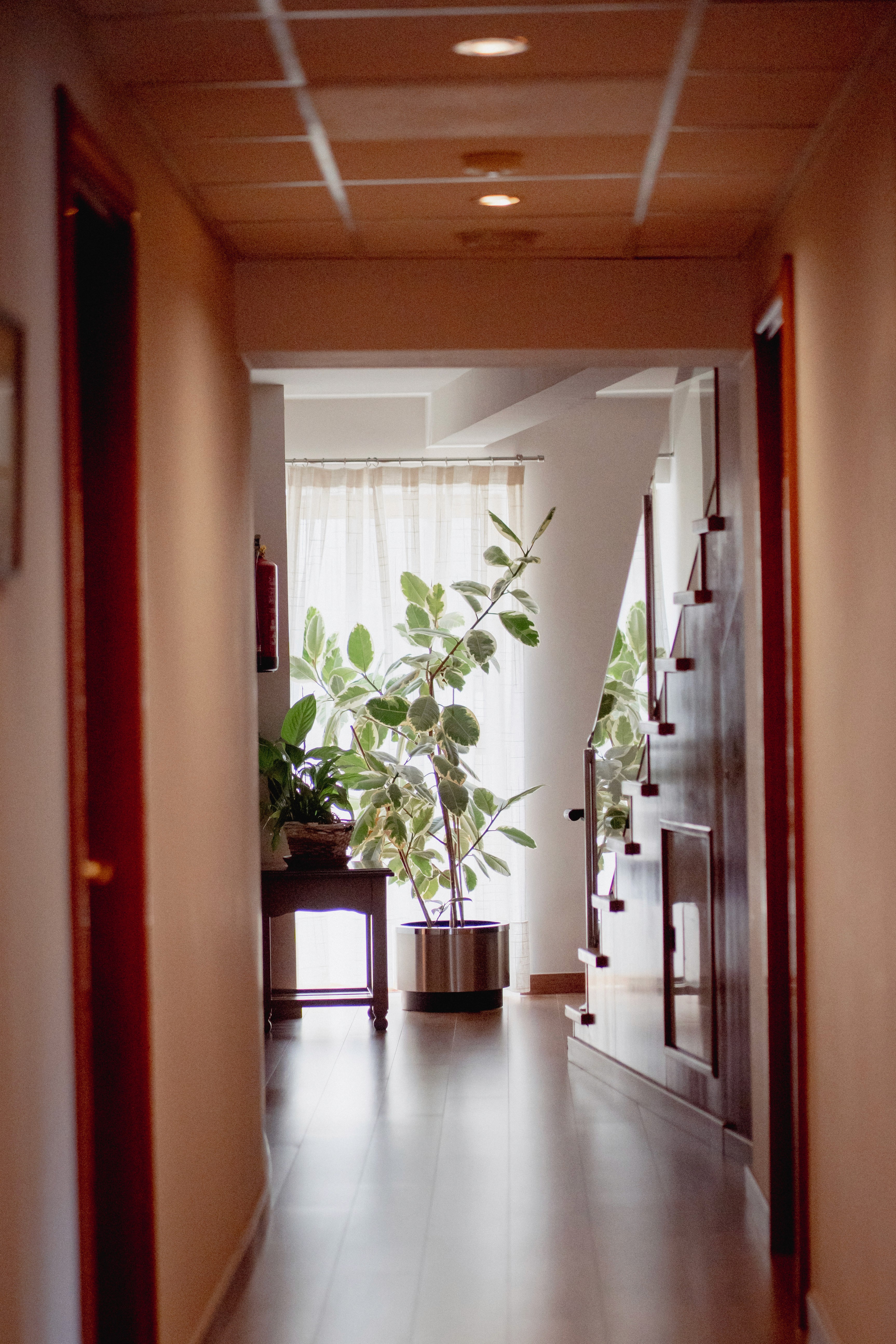 minimalistic hallway with partial view of the bathroom