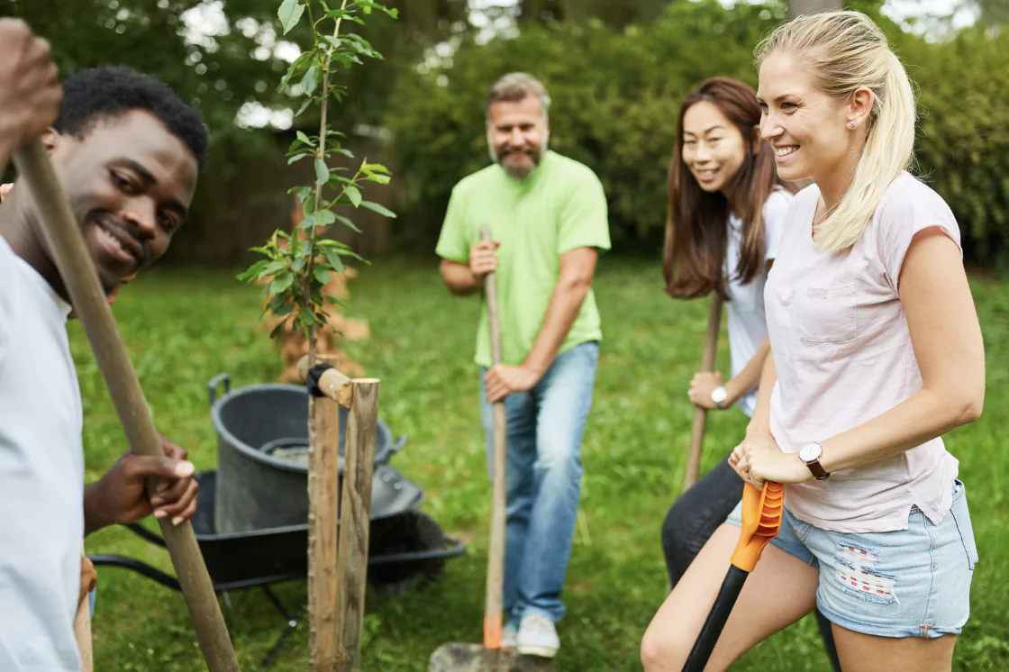 Tree planting teamwork Net0