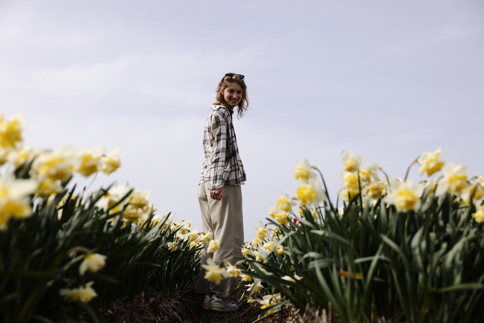 Foto in tulpenvelden van onder