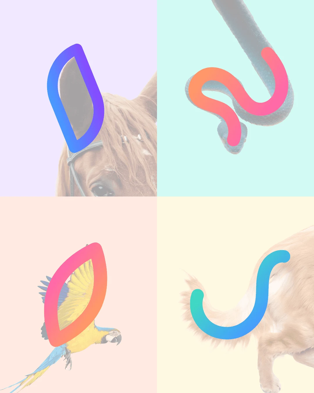 Illustration de cheval, serpent, oiseau et queue de chien pour Animalink