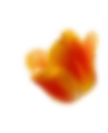 Narandžasti cvet lale