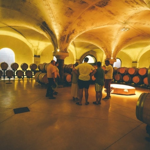 Tour de cata de vino Amarone desde Verona