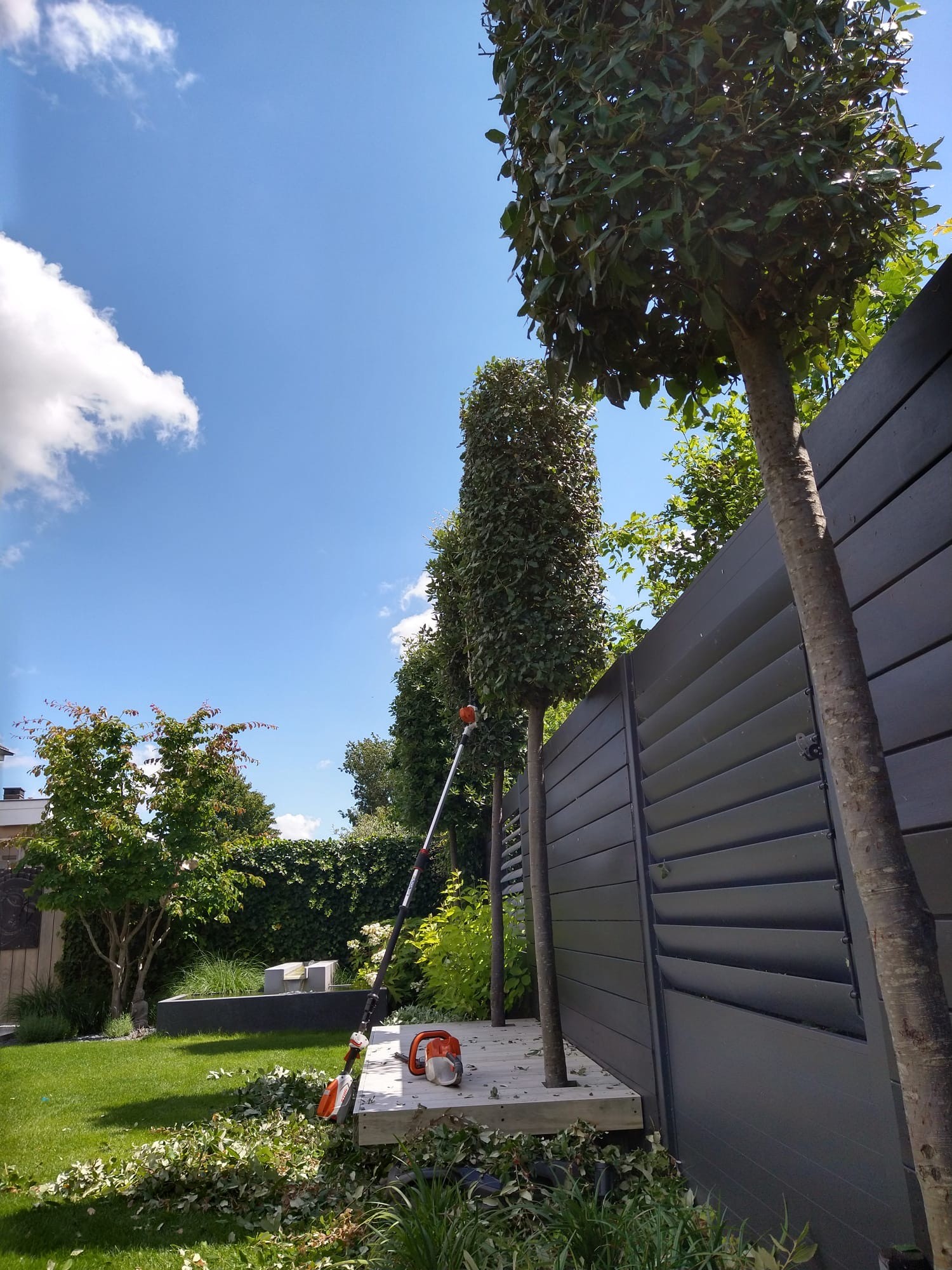 Tuin Onderhoud in Krimpen aan den IJssel
