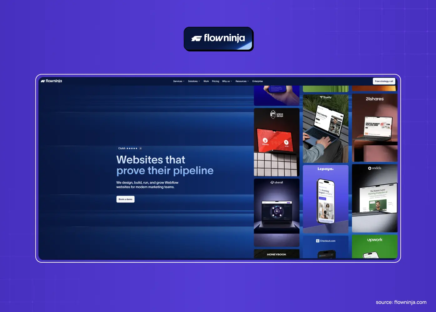 Flow Ninja homepage screenshot showing the headline "Websites that prove their pipeline" beside a grid of client project thumbnails.