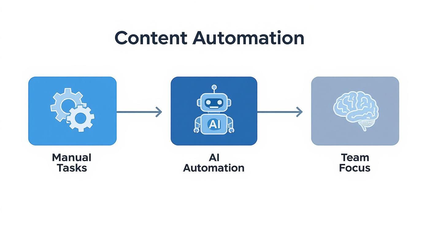Infographic about automate content marketing