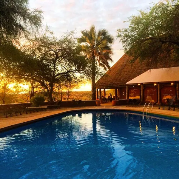 Grand Family Safari in Tanzania