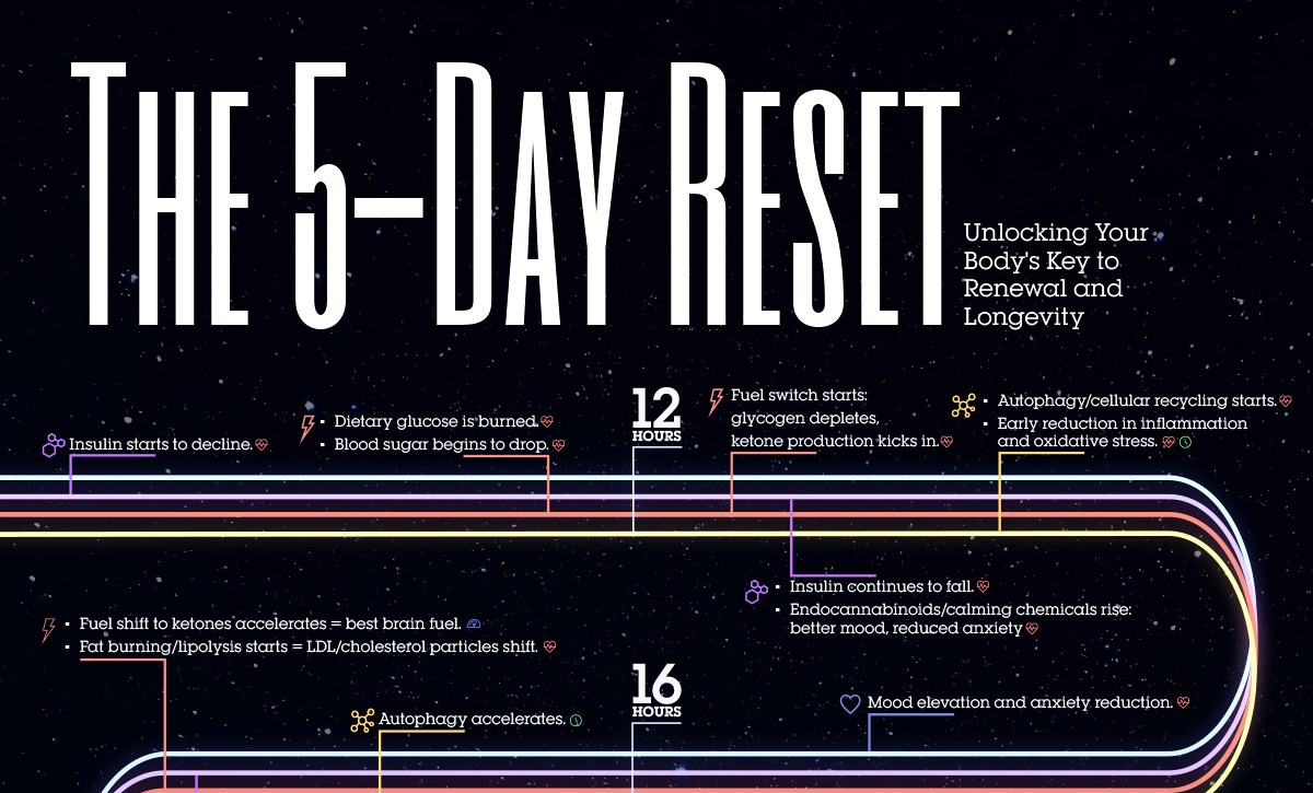 A close up of 5 Day Reset infographic