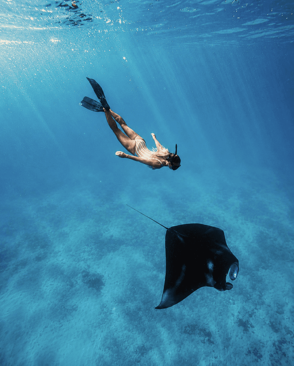 Woman snorkeling alongside a sea turtle in the crystal clear waters of Nusa Lembongan, Indonesia