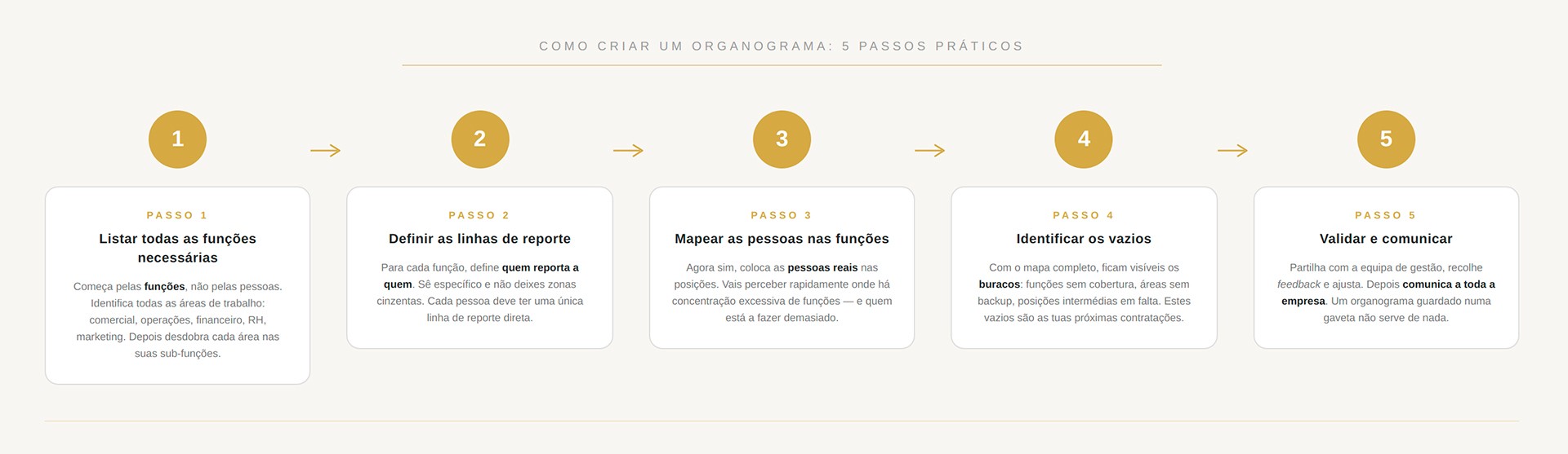 Organograma em 5 passos