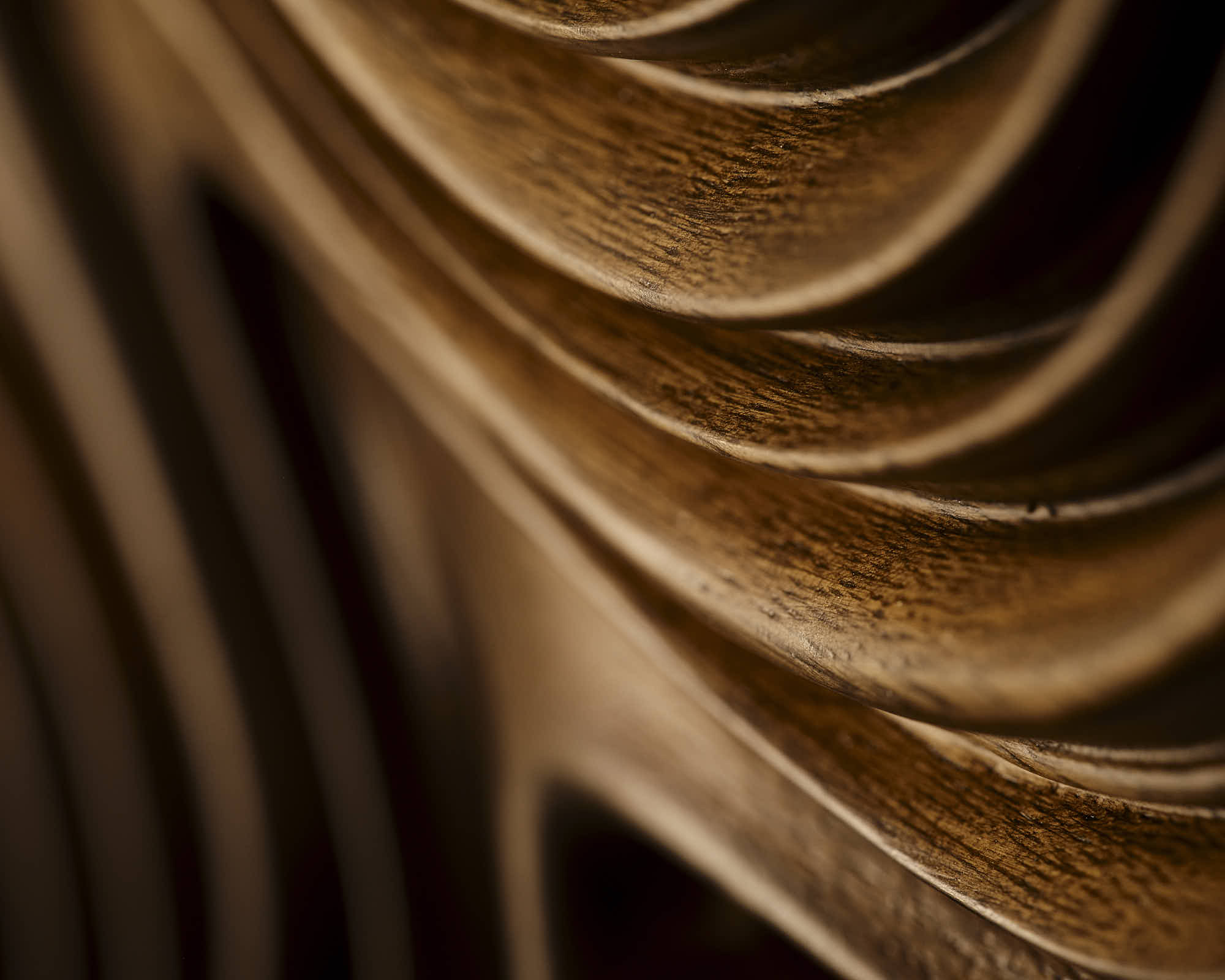 Abstract close-up of flowing, textured wood with warm brown tones and soft curves.