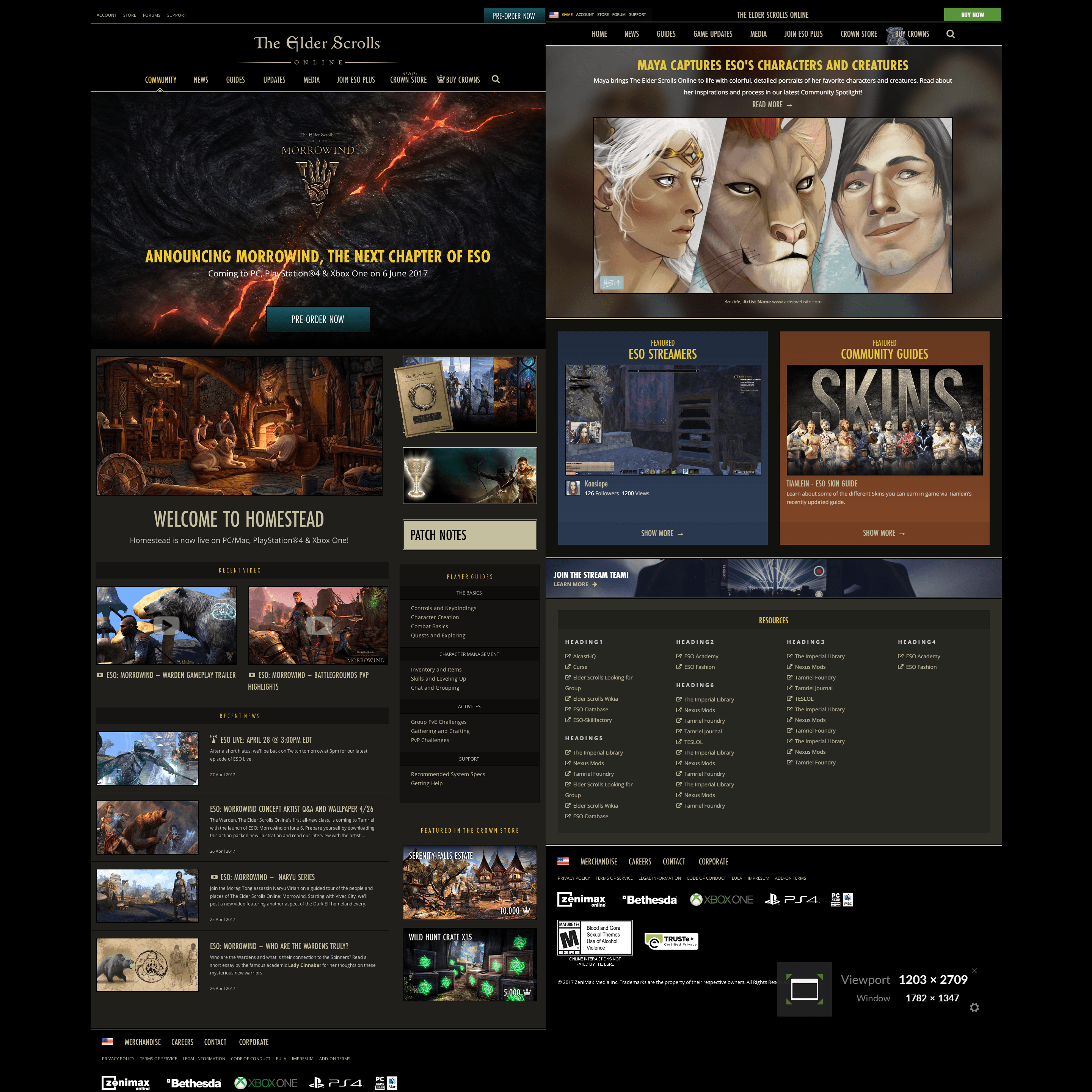 Surface Visual Systems