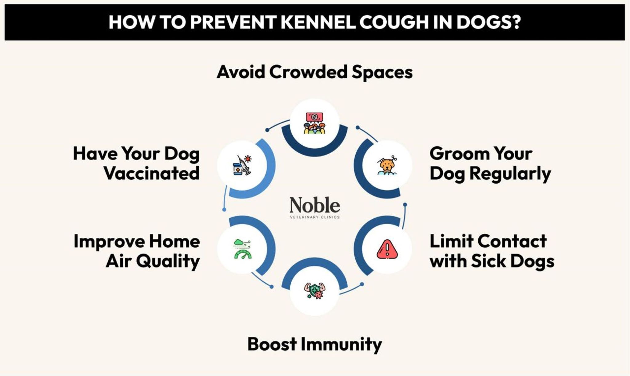 How to Prevent Kennel Cough in Dogs?
