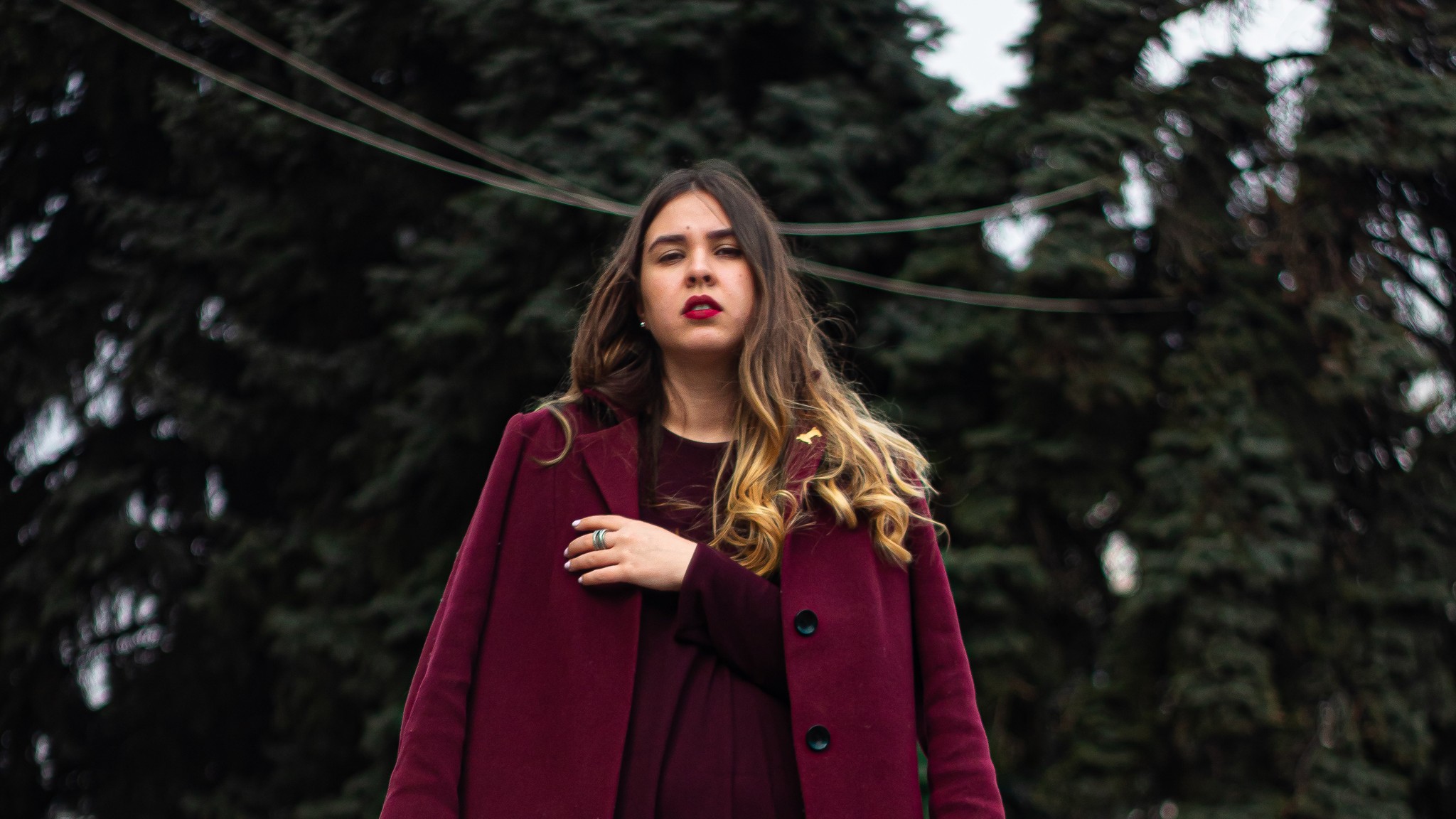 The image featured at the top of the about us page #1