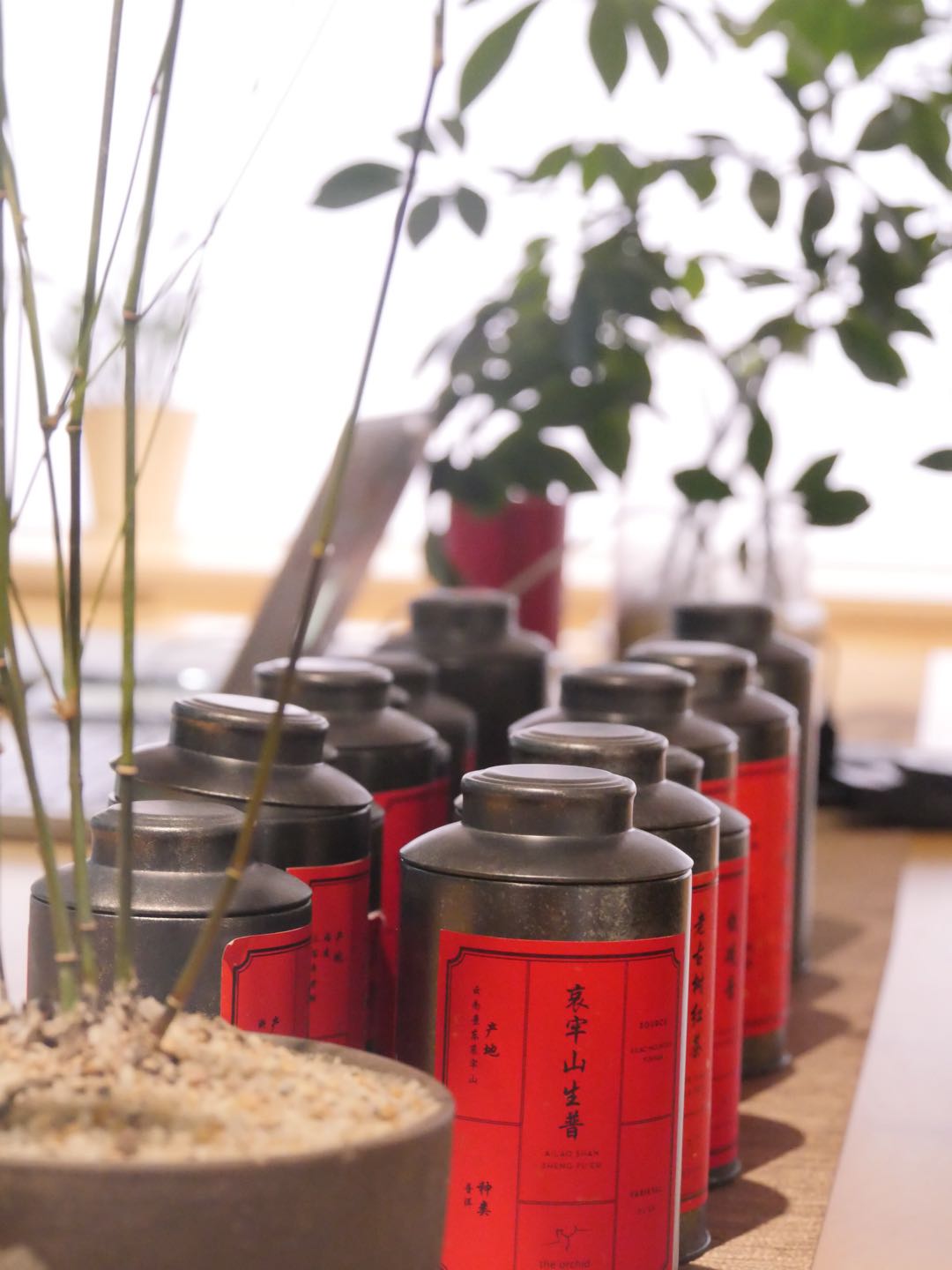 Tea jars, shelves, and trays in the Tea Gallery archive