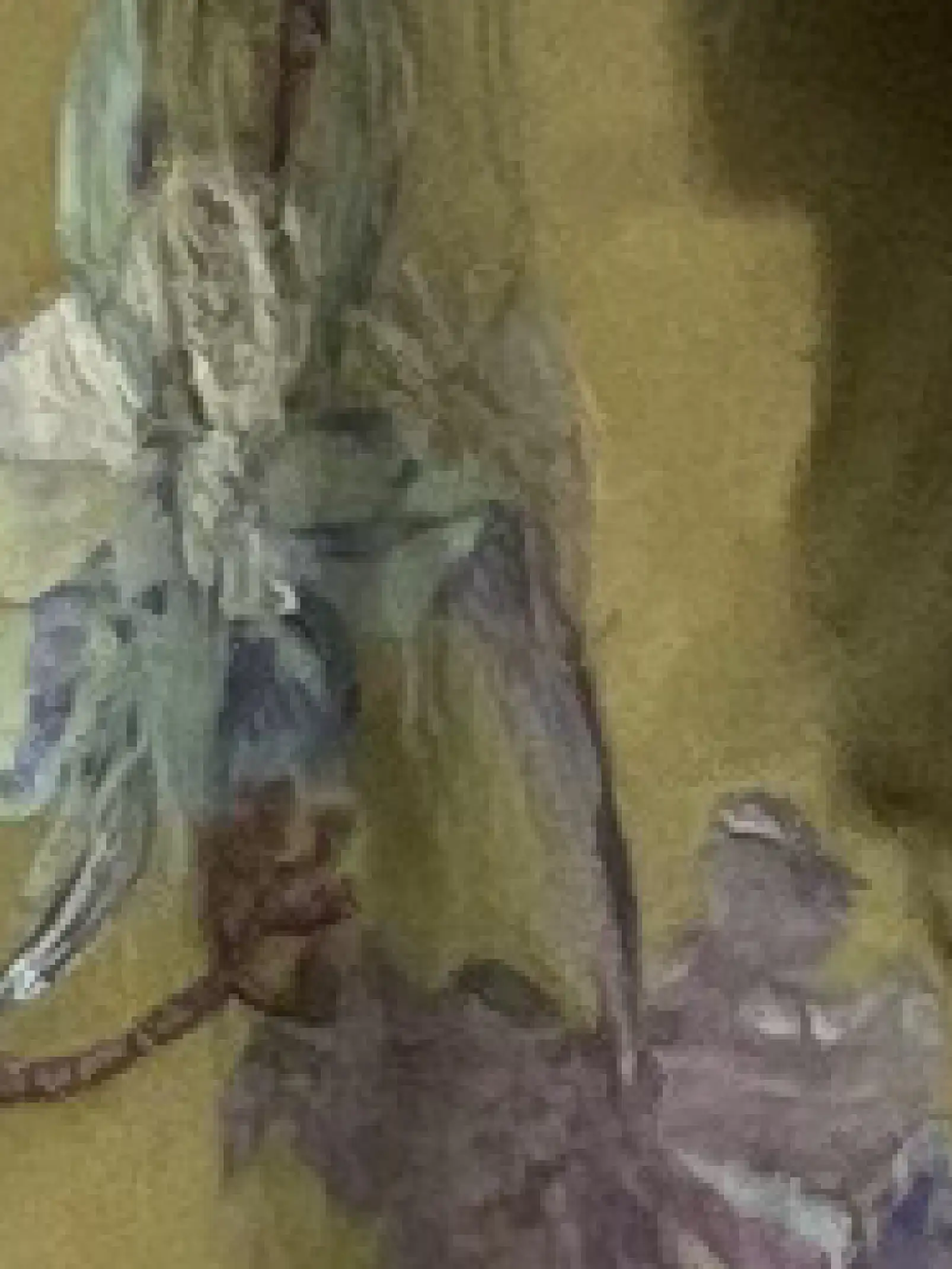 Detalle pictórico de textura botánica sobre fondo mostaza para proyecto artístico textil, resaltando formas naturales y matices orgánicos.