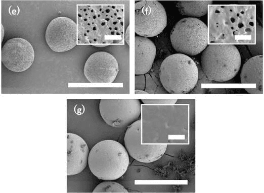 PLLA-PEG Microsphere Technology