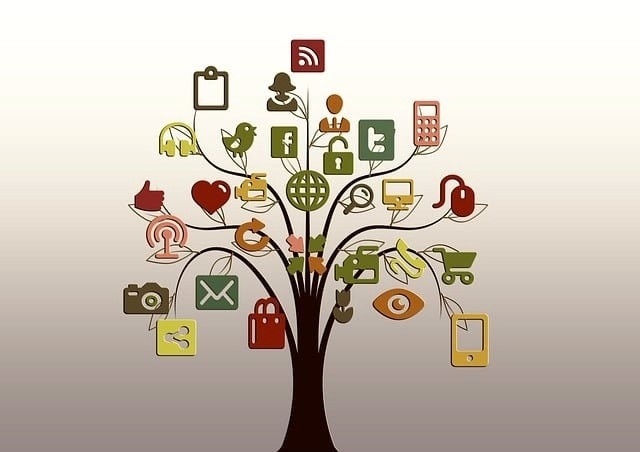 tree, structure, networks, internet, network, social, social network, tiktok, logo, nature, facebook, google, social networking, networking, social media, icon, website, presentation, multimedia