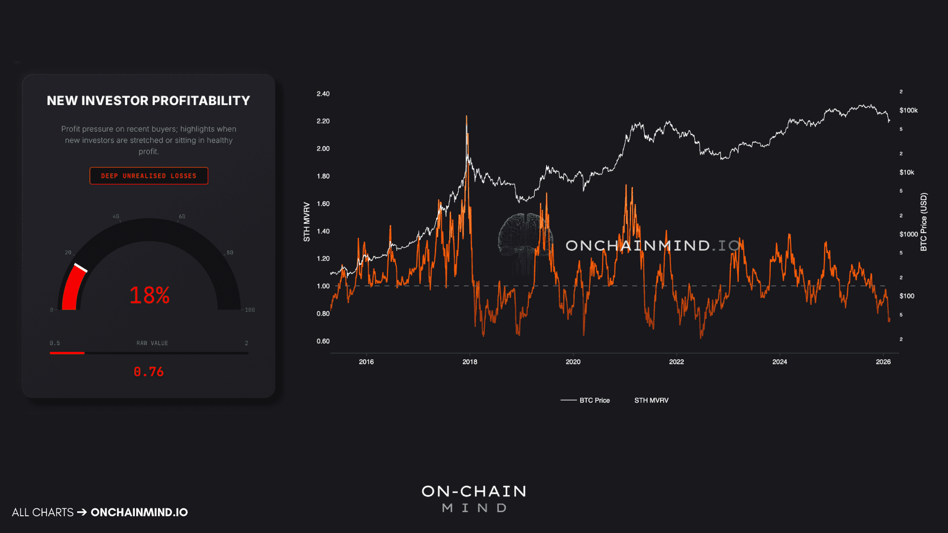 Bitcoin’s New Investor Profitability