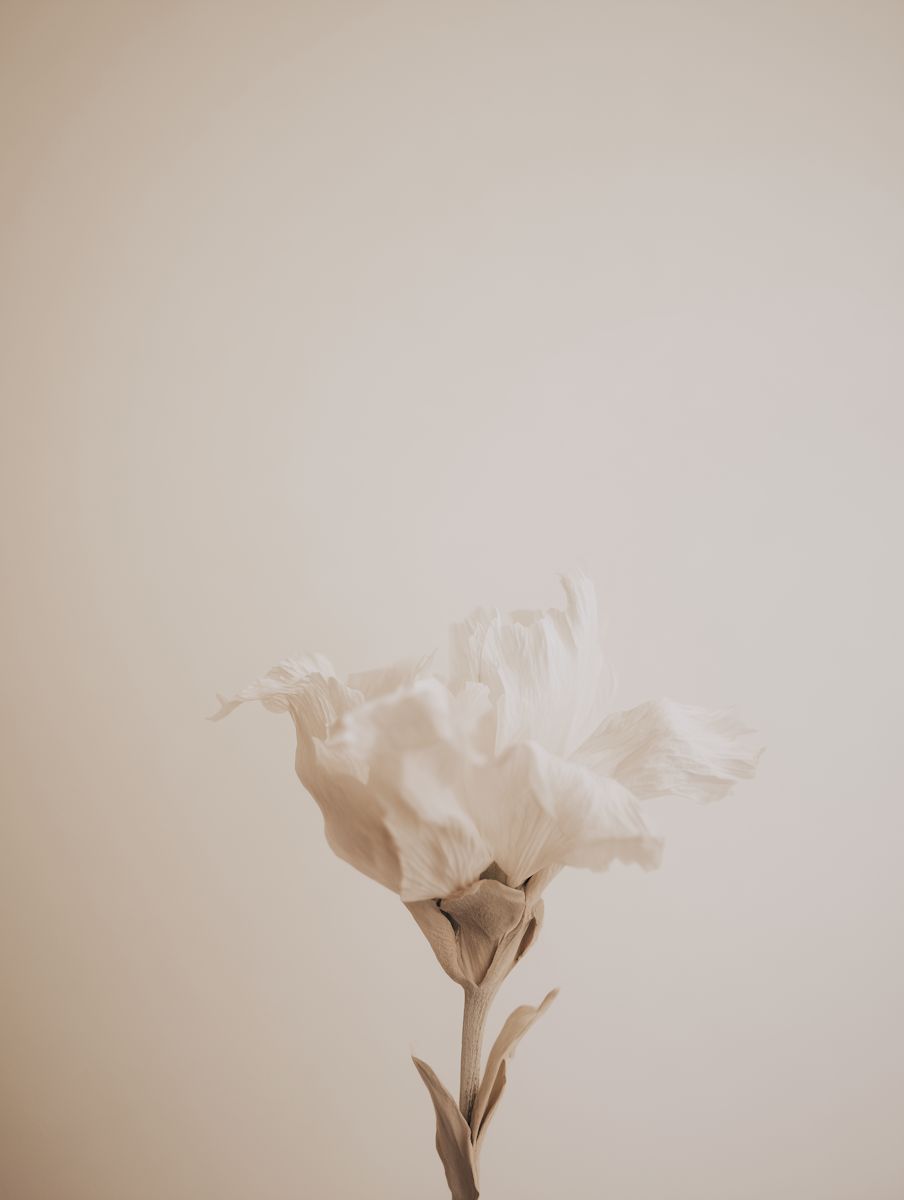 ICONIC Beauty - section 3 a drop of liquide