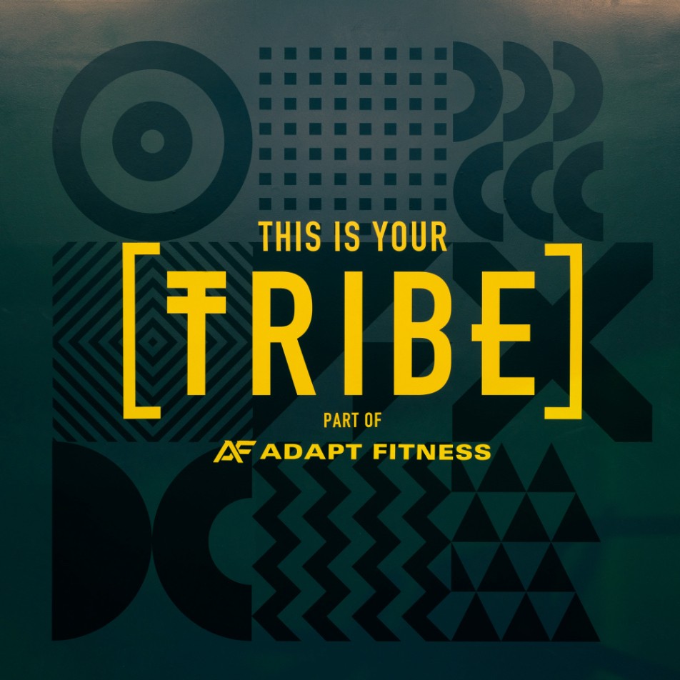 Tribe Fitness vinyl signage