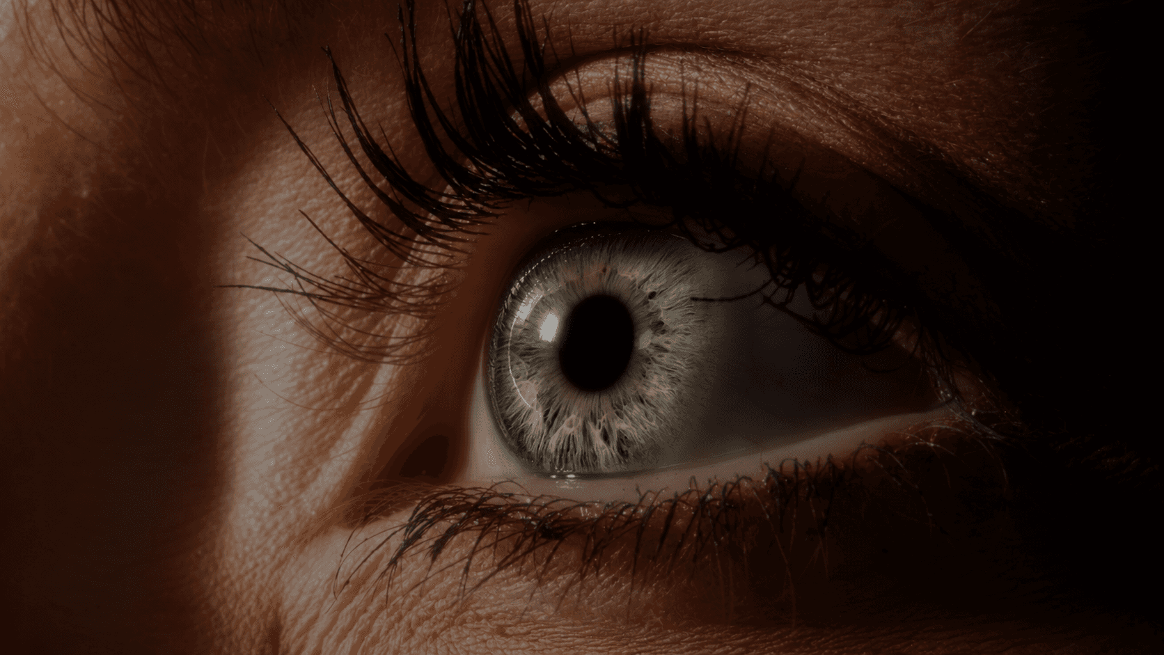 Macro photograph of a human eye in warm low-key light