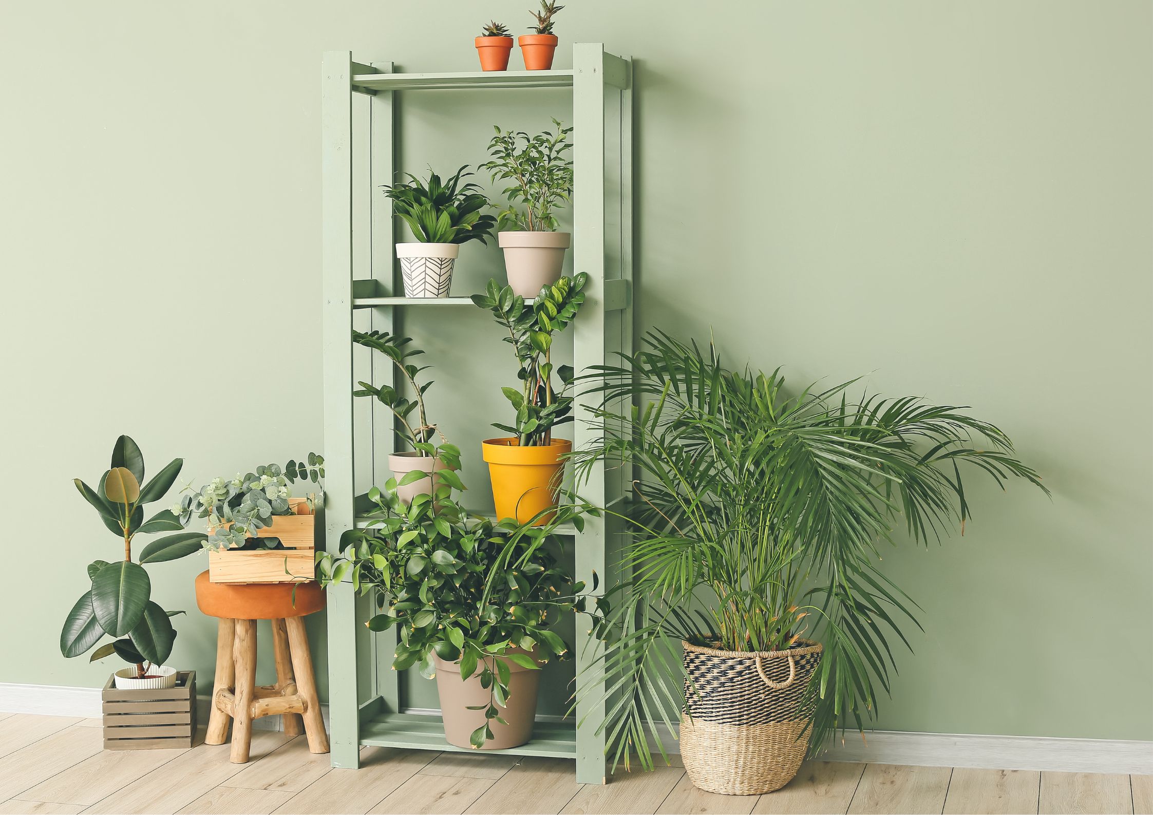 Garden planning for the new season