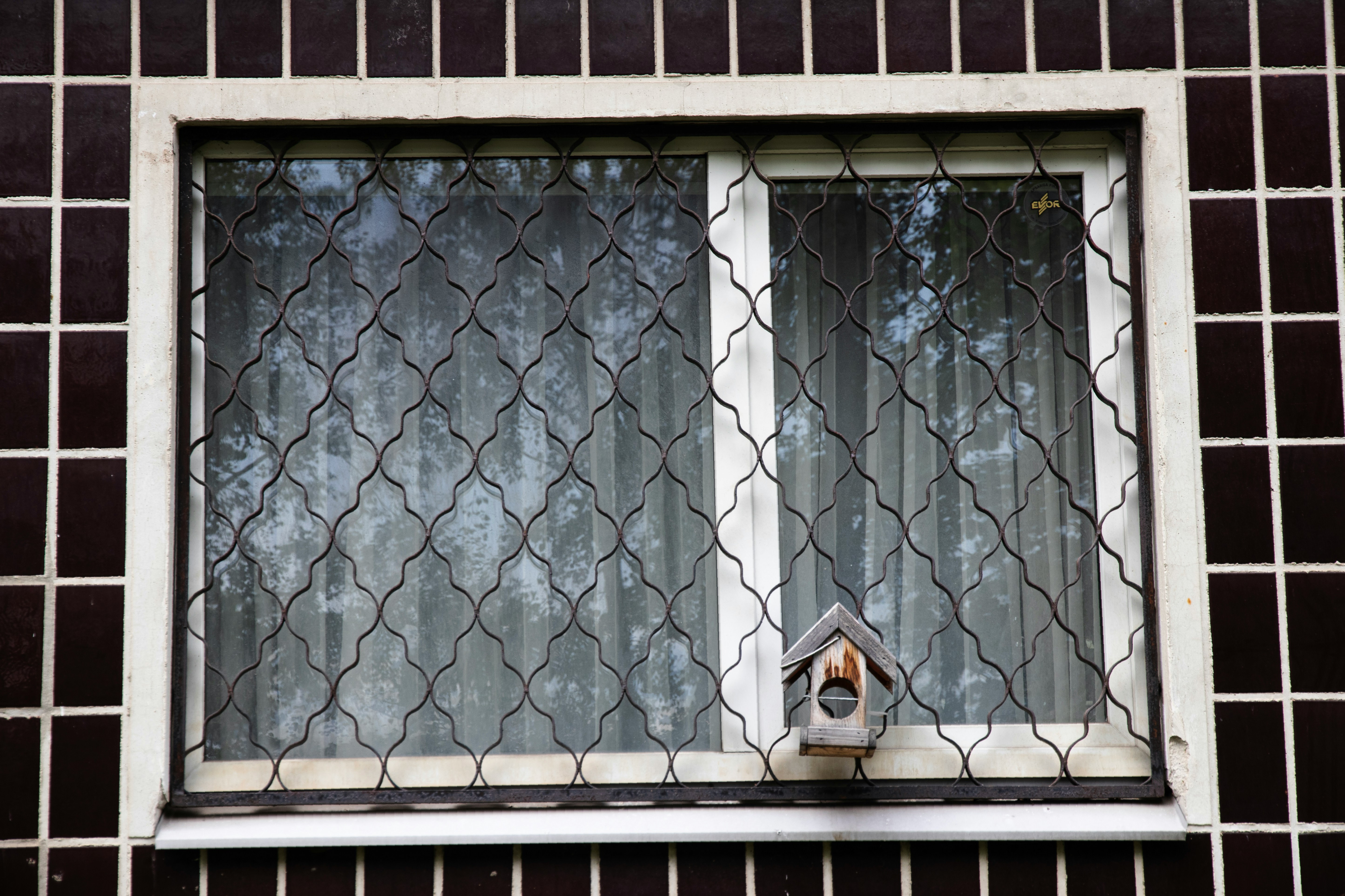 Window with security bars and birdhouse