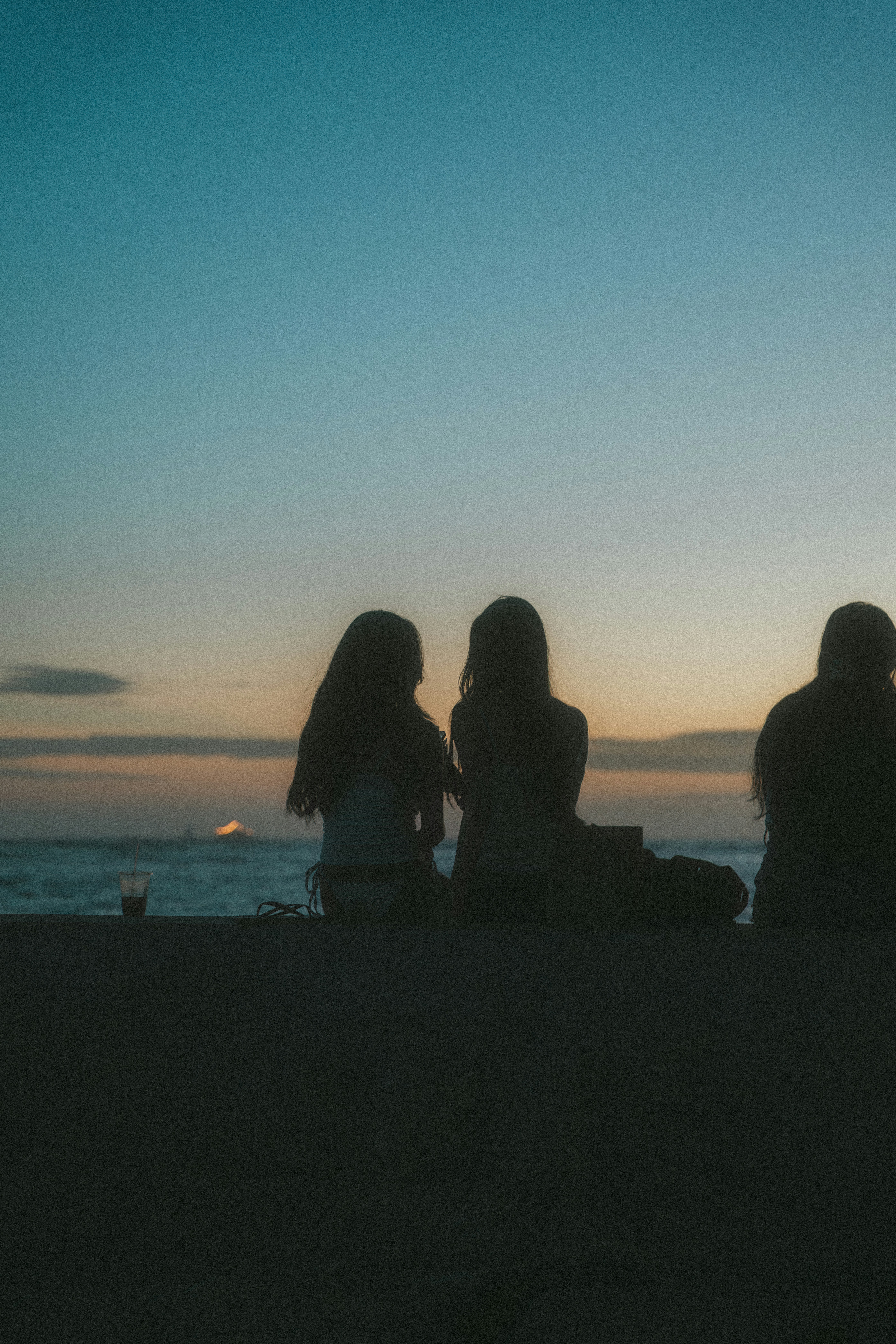 Silhouettes of people watching the sunset by the ocean