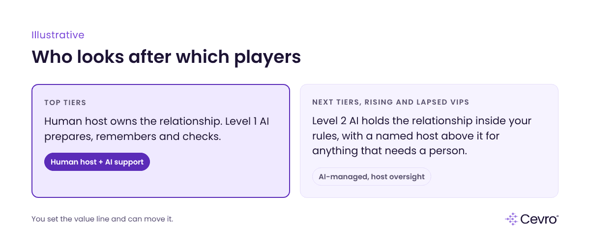 How VIP AI splits by player tier: top VIP players stay with human hosts supported by AI, set tiers get AI-managed relationships