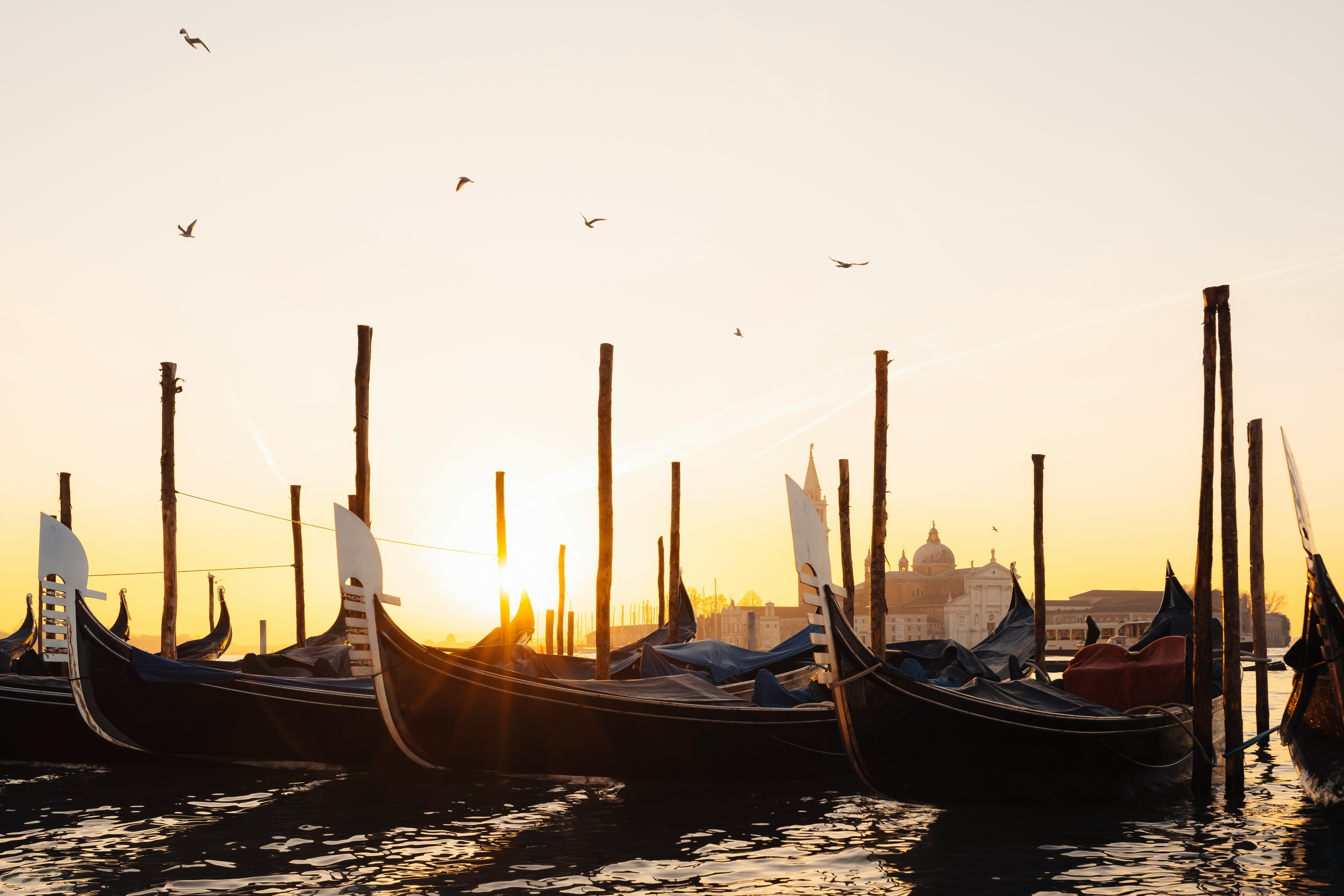 Gondolas docked at sunrise with birds flying.