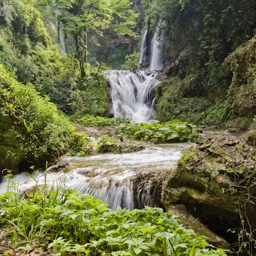 एक बहु-स्तरीय जलप्रपात एक हरियाली से भरे जंगल से होकर गिरता है, जहाँ जीवंत वनस्पति और काई से ढके चट्टानें हैं।