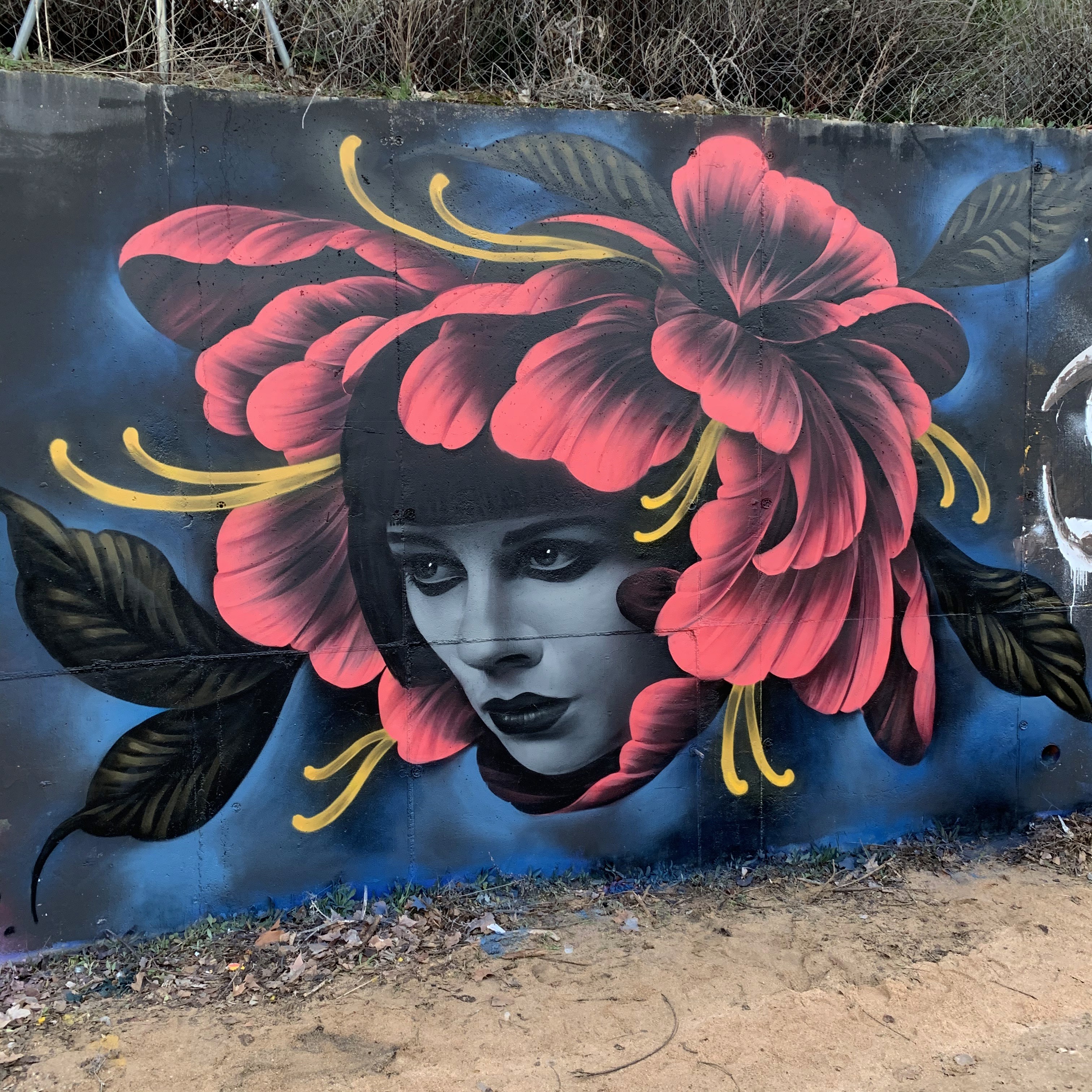 Retrato de una mujer con flores rojas en el pelo pintado sobre un muro en Toledo.